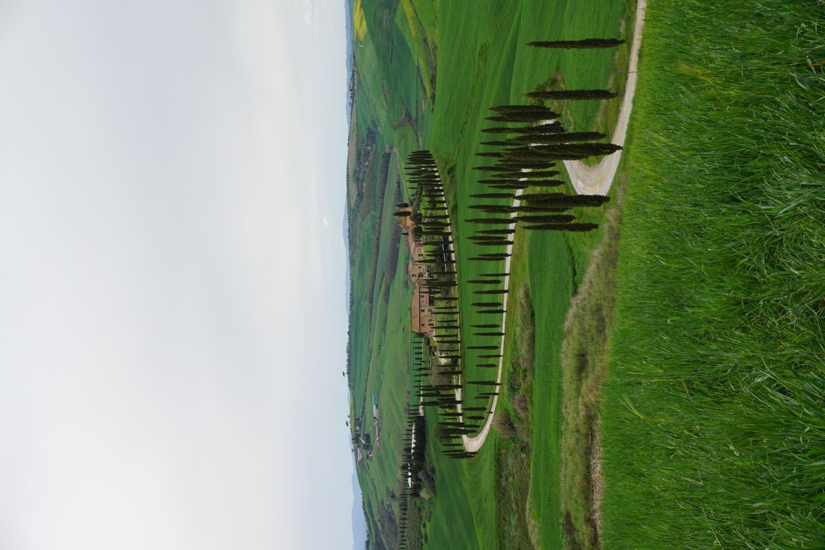(SP60) San Giovanni d'Asso - Asciano – Strada Panoramica percorso moto – Foto 1