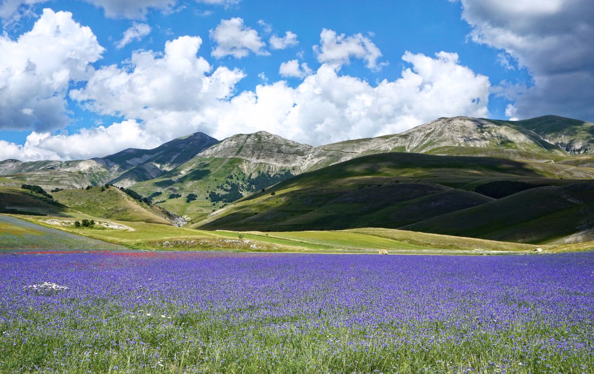 (SP477) Pian Grande di Castelluccio di Norcia – Strada Panoramica percorso moto – Foto 7