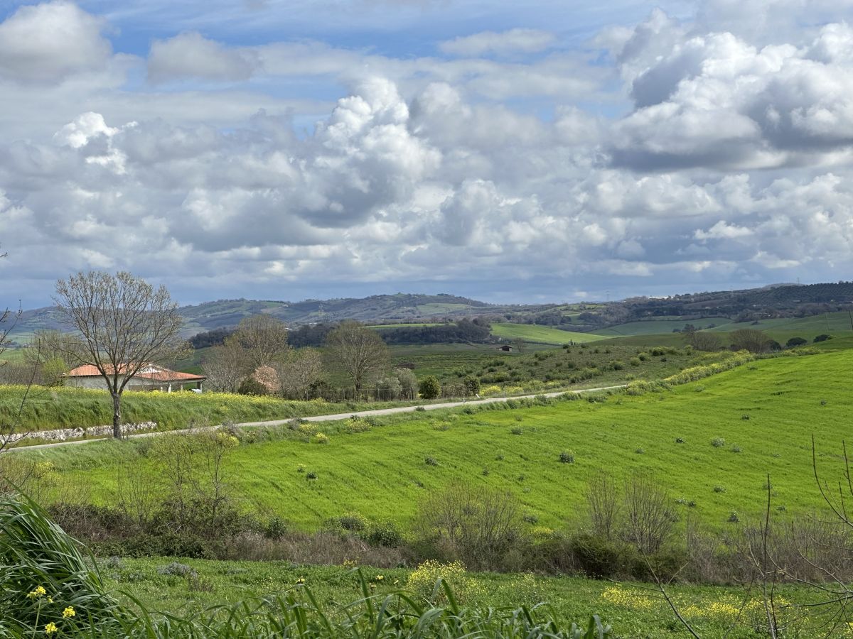 (SP159) Scansano - Manciano – Strada Panoramica percorso moto – Foto 5