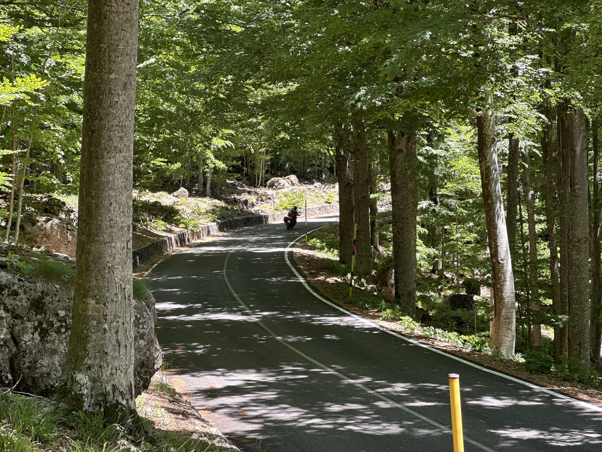(SP37) Castel del Piano - Monte Amiata – Strada Panoramica percorso moto – Foto 3