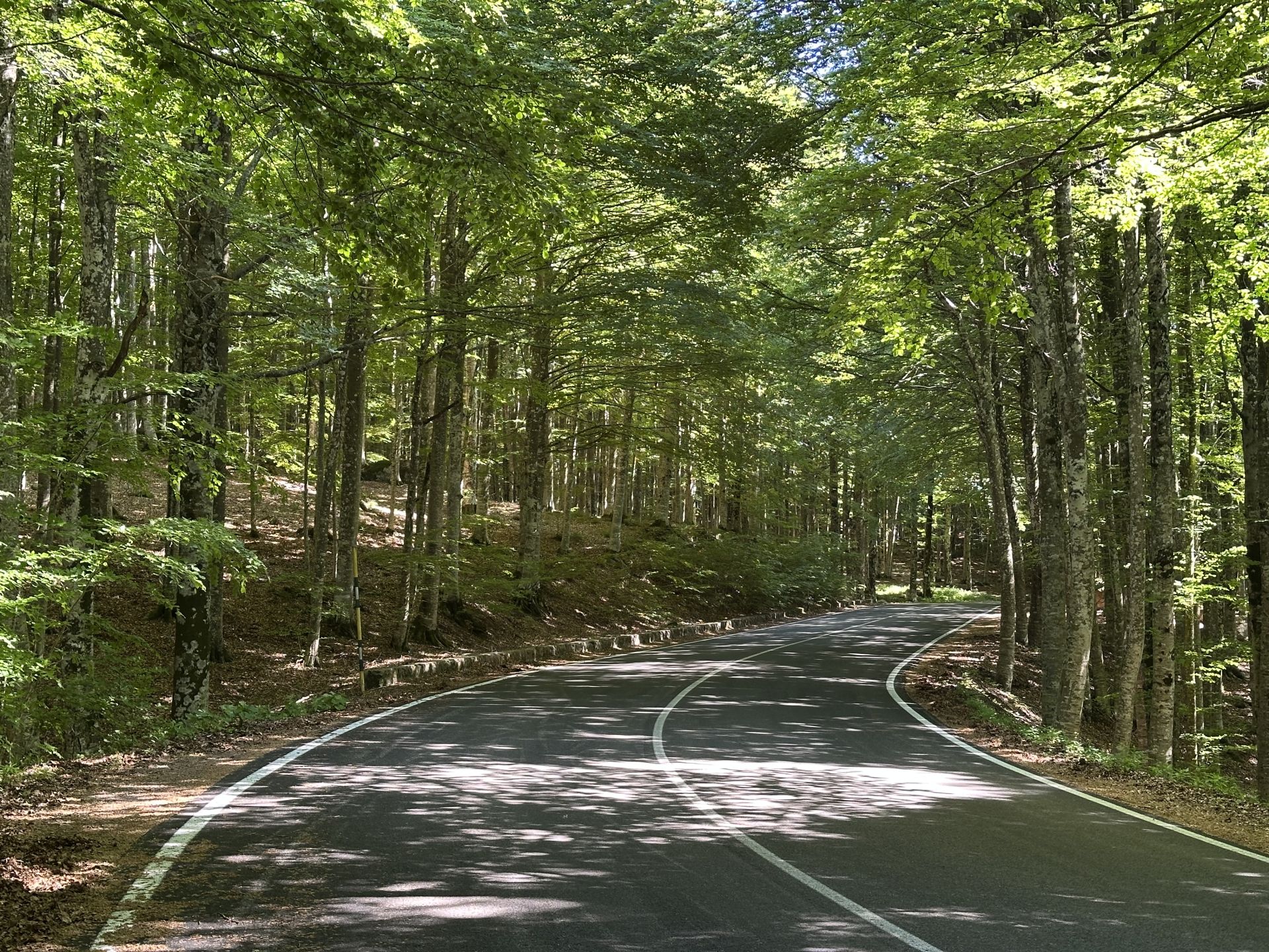 (SP58) Aiole - Monte Amiata – Strada Panoramica percorso moto – Foto 2