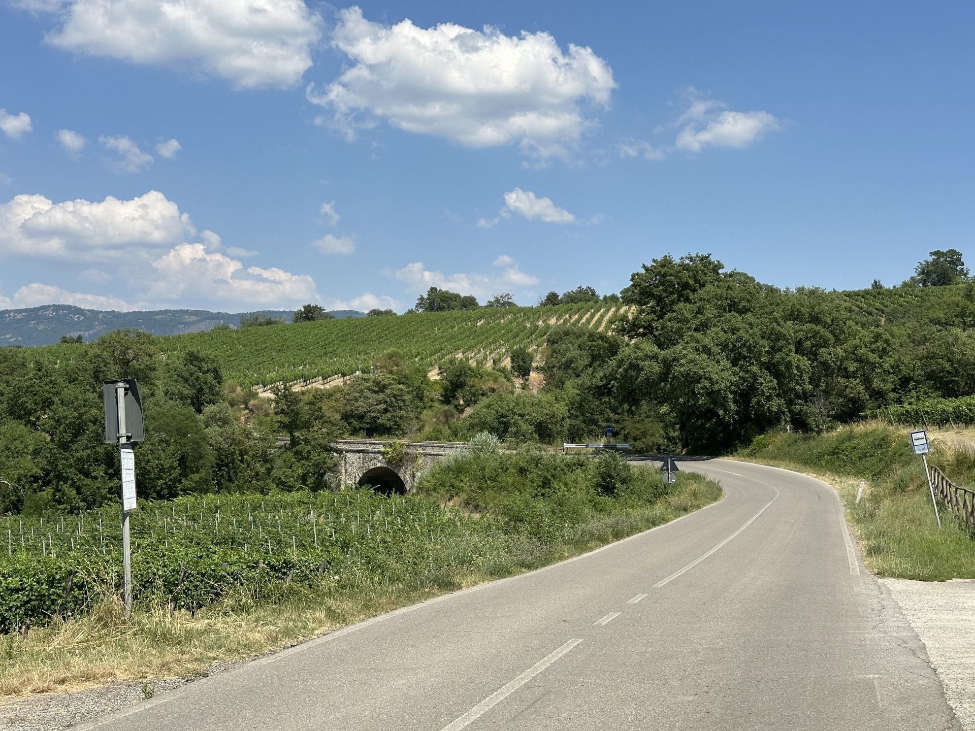 (SP24) Arcille - Santa Caterina – Strada Panoramica percorso moto – Foto 1