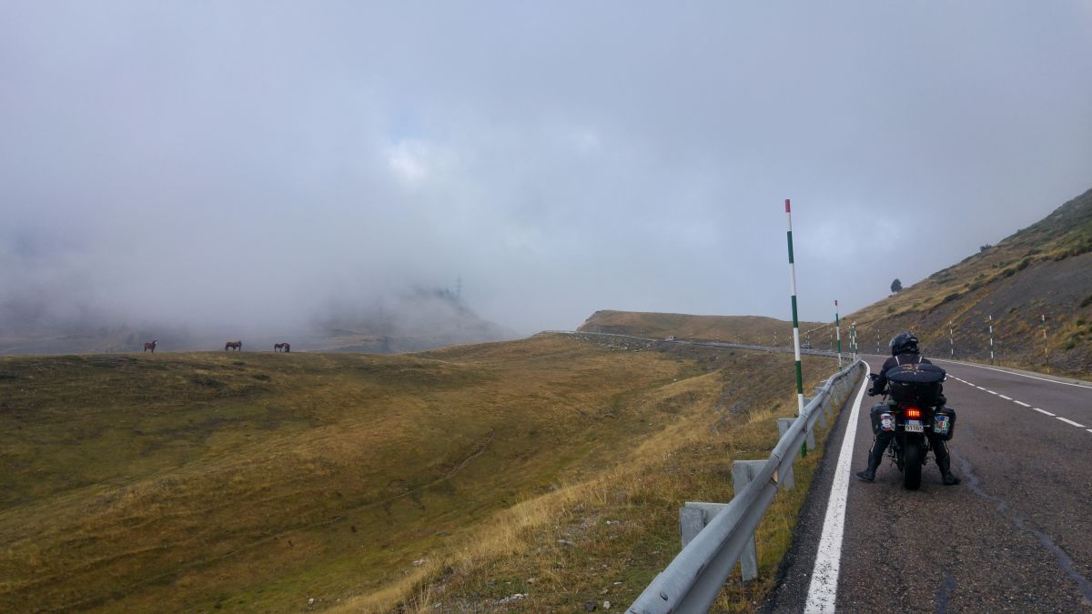 (N260) Eje Pirenaico – Strada Panoramica percorso moto – Foto 2