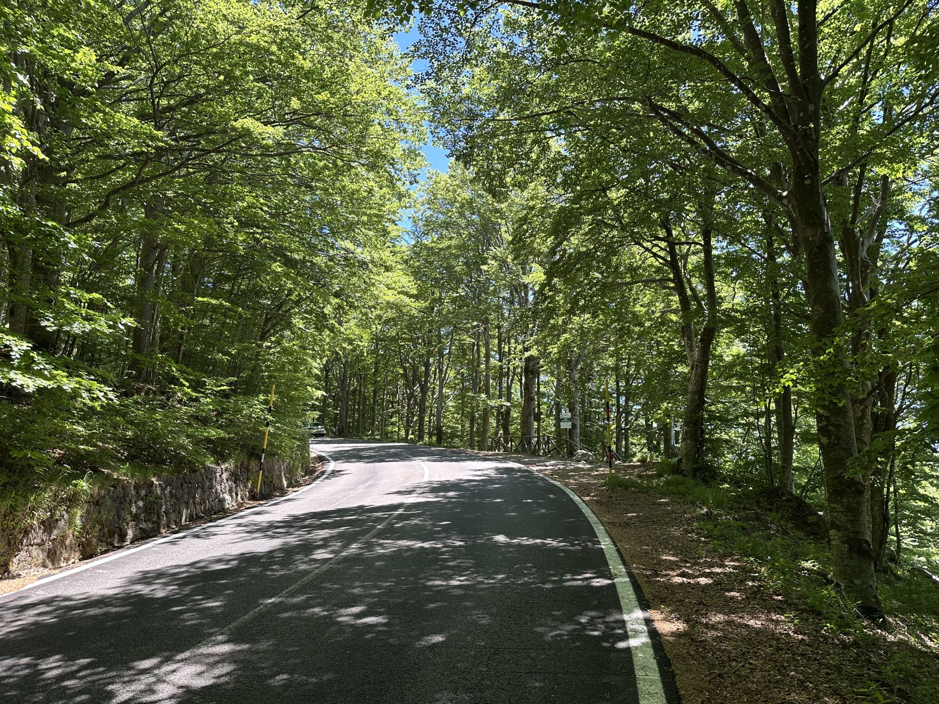 (SP37) Castel del Piano - Monte Amiata – Strada Panoramica percorso moto – Foto 4