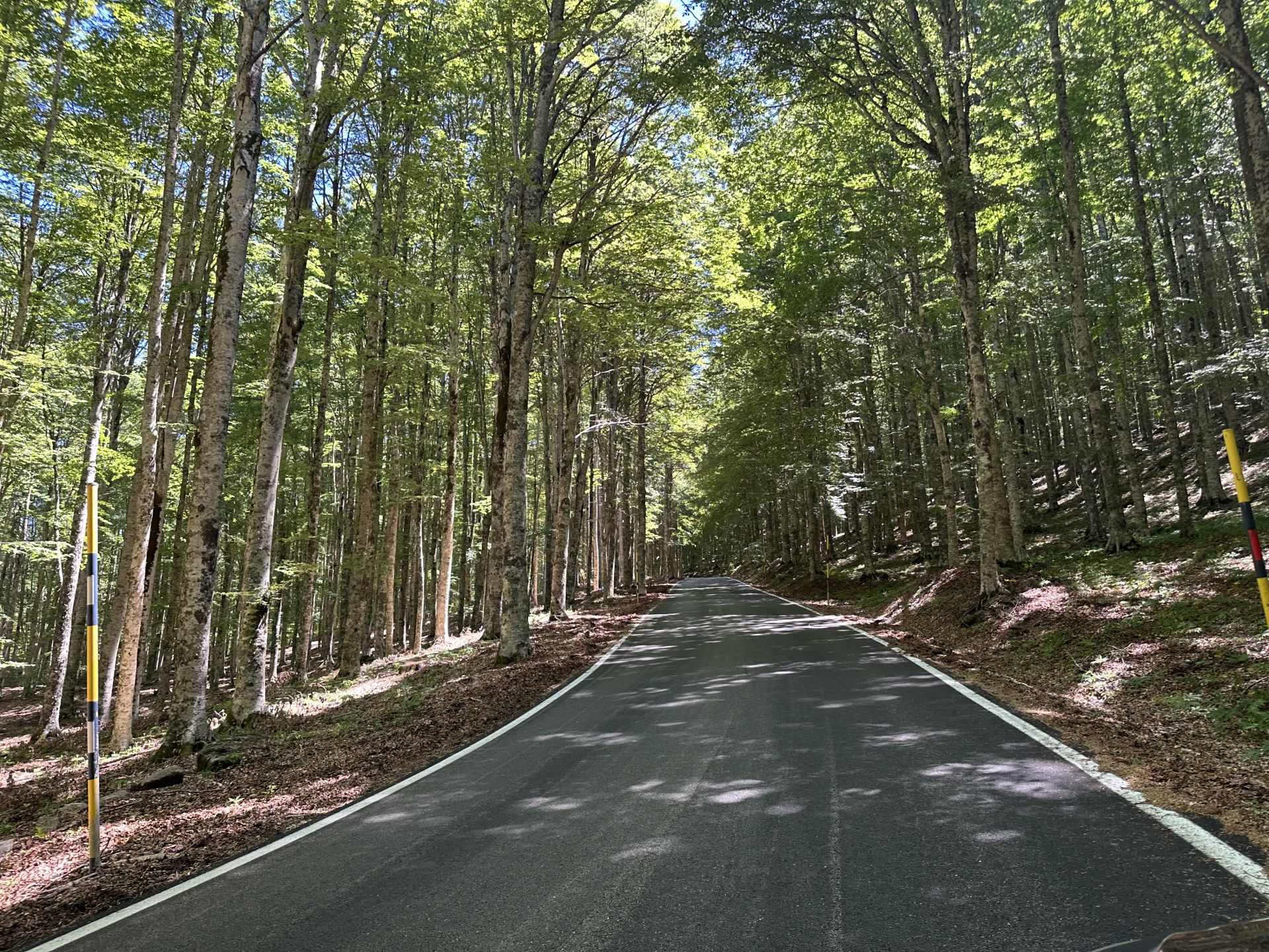 (SP58) Aiole - Monte Amiata – Strada Panoramica percorso moto – Foto 3