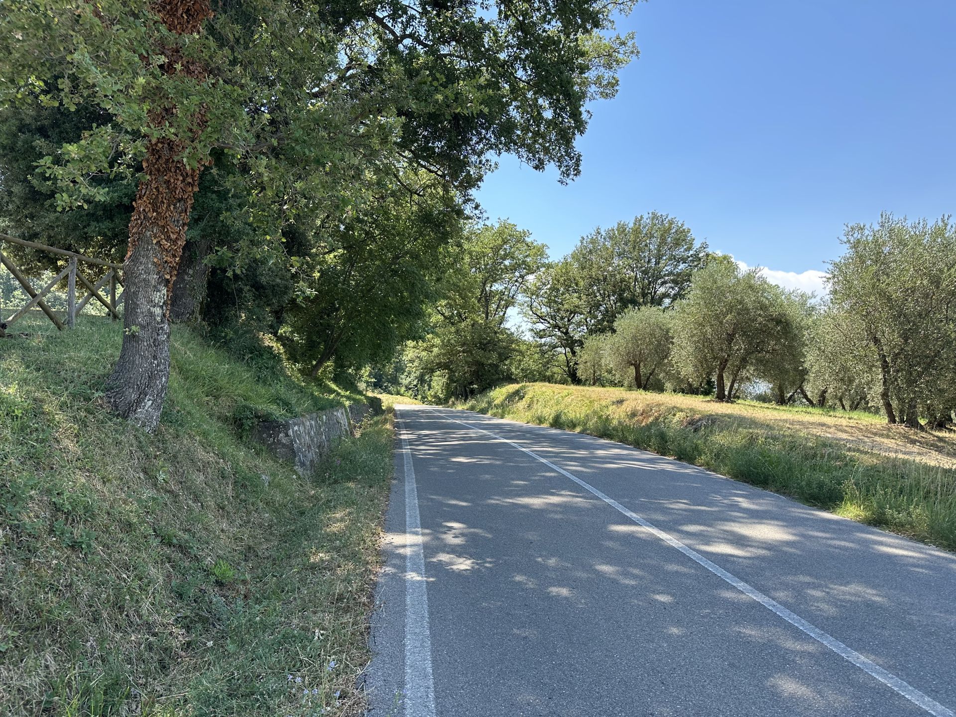 (SP24) Arcille - Santa Caterina – Strada Panoramica percorso moto – Foto 2