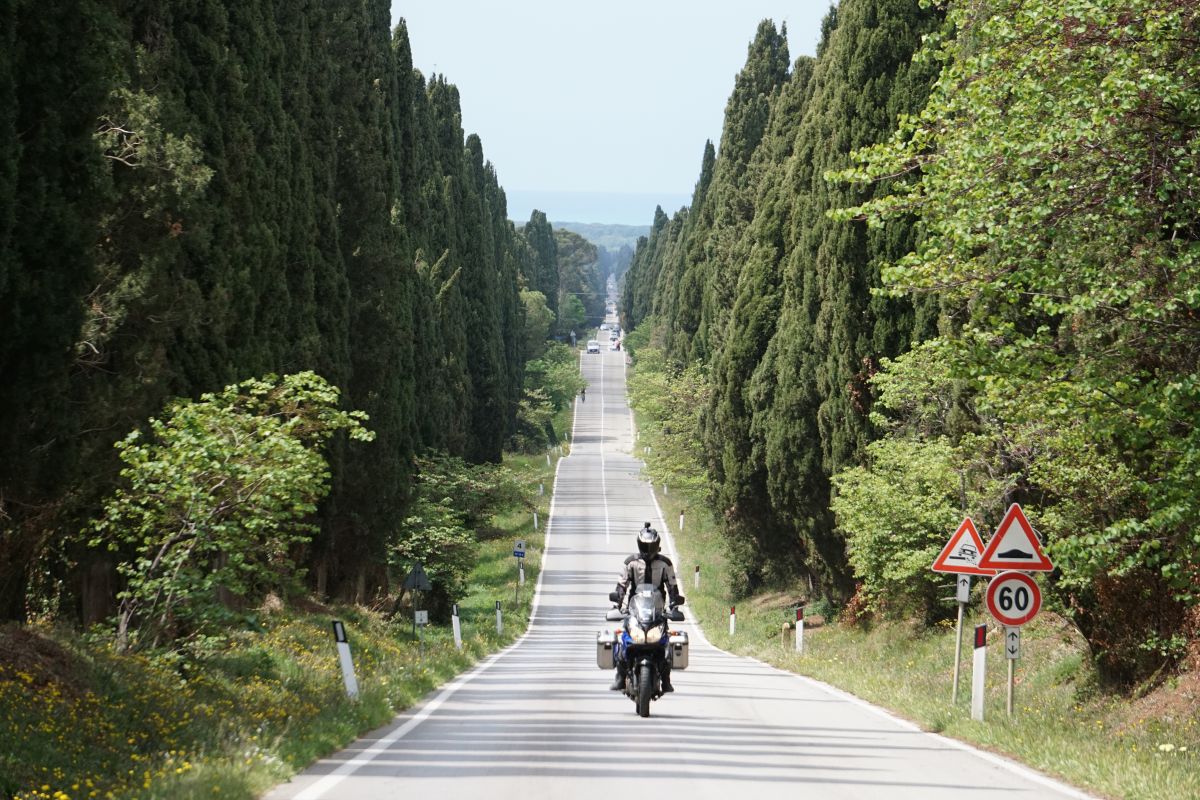 Viale dei Cipressi - Bolgheri – Strada Panoramica percorso moto – Foto 1