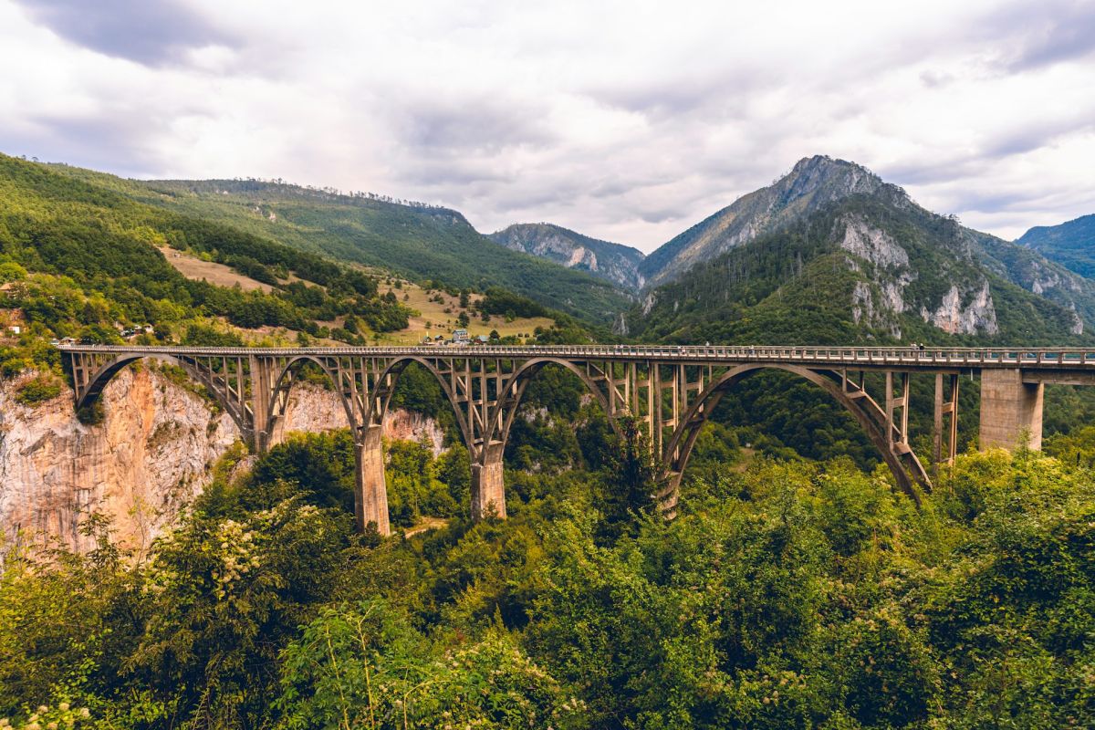 (M6, P4) Tara Bridge