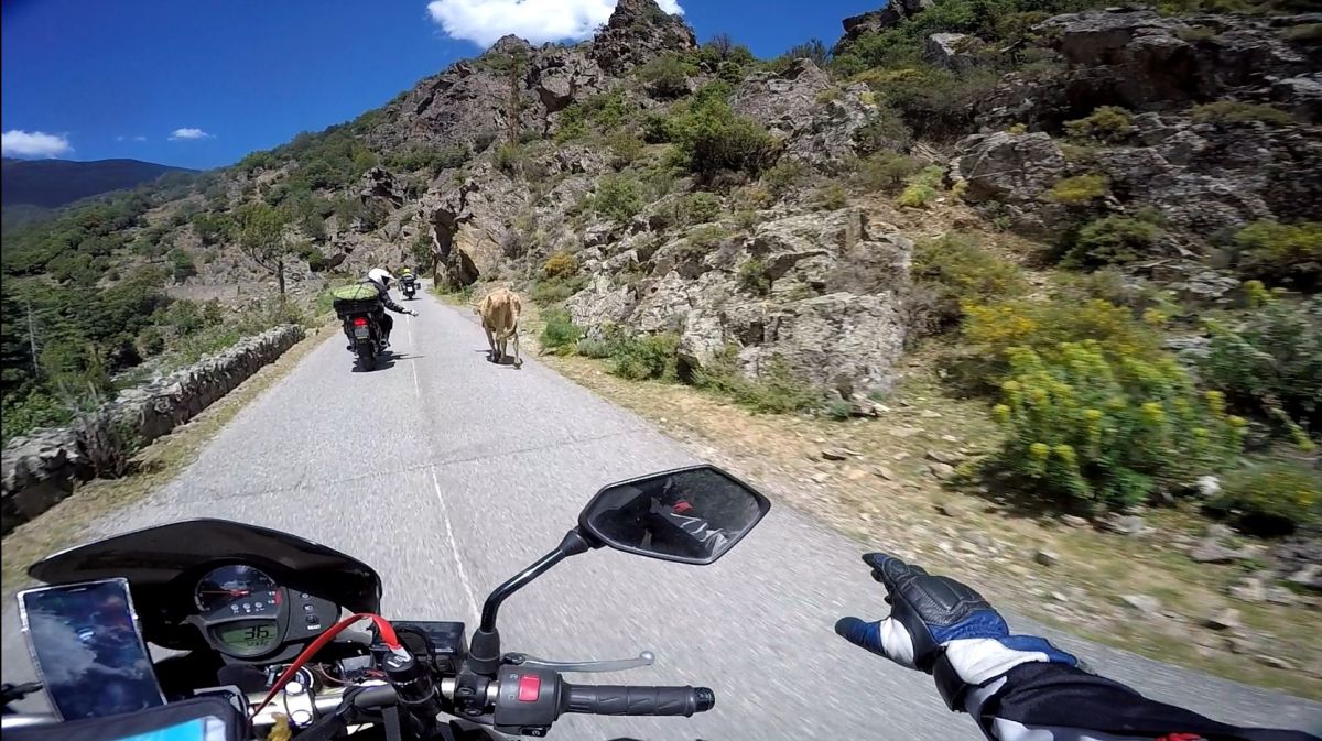(D147) Monte Cinto – Strada Panoramica percorso moto – Foto 2
