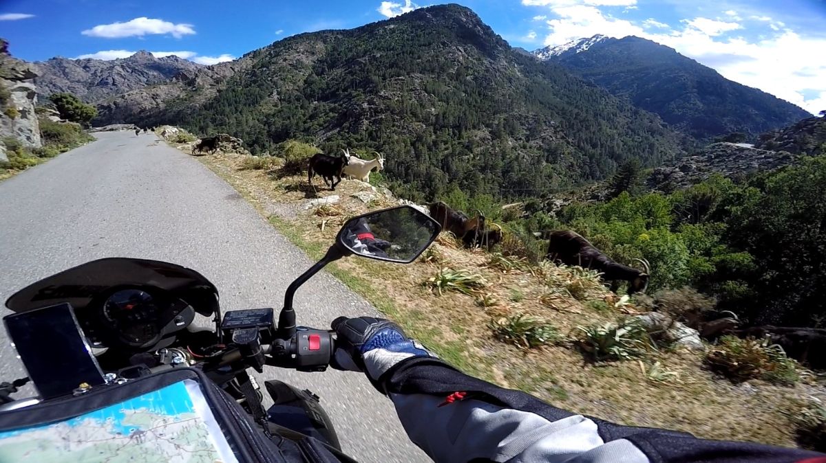 (D147) Monte Cinto – Strada Panoramica percorso moto – Foto 4