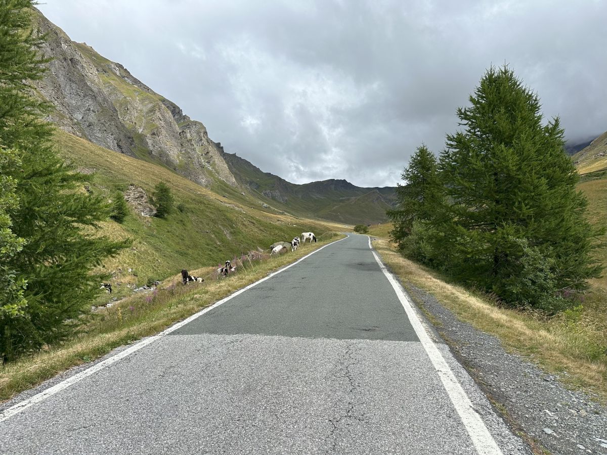 Col Agnel / Colle dell'Agnello – Passo Montano percorso moto – Foto 4