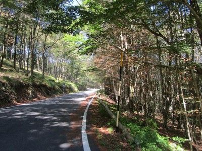 (SP44) Subiaco - Monte Livata