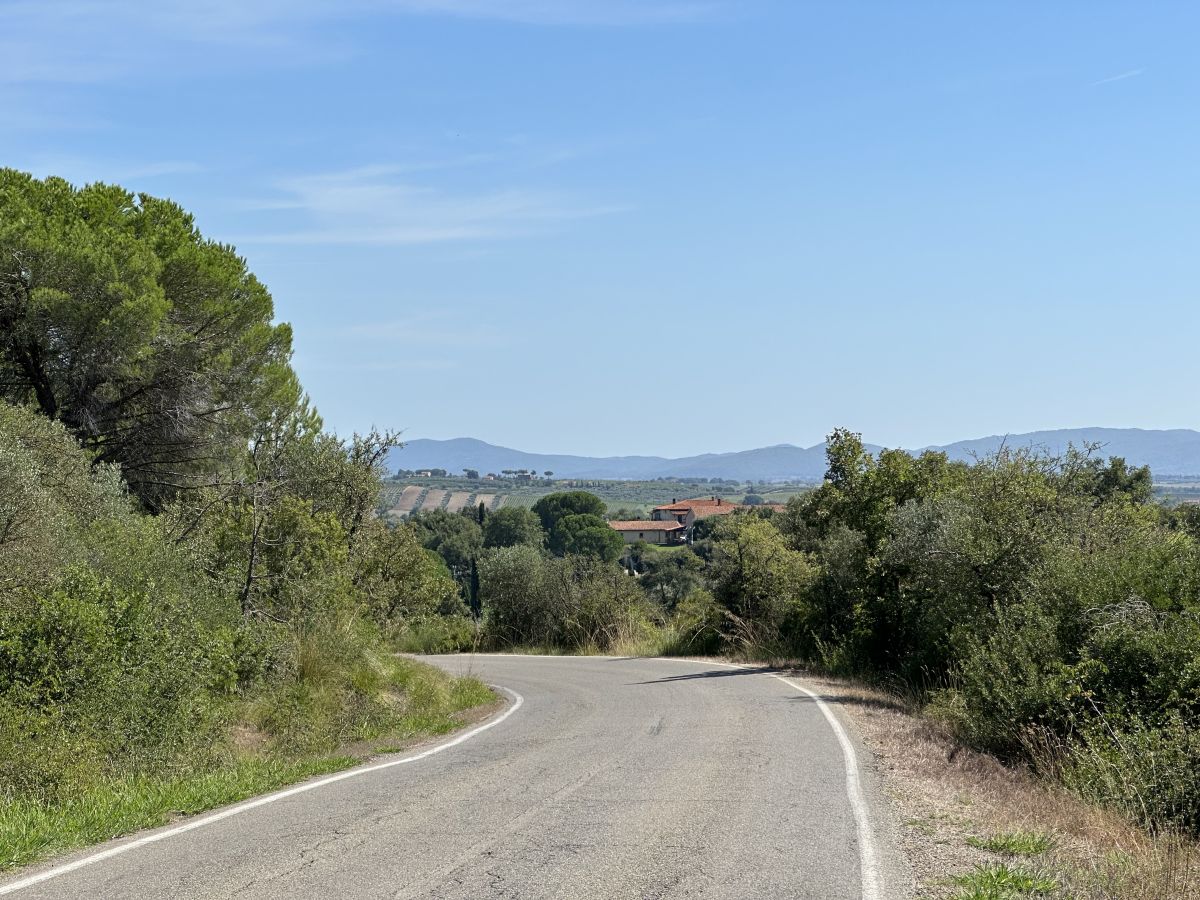(SP16) Grosseto - Magliano in Toscana
