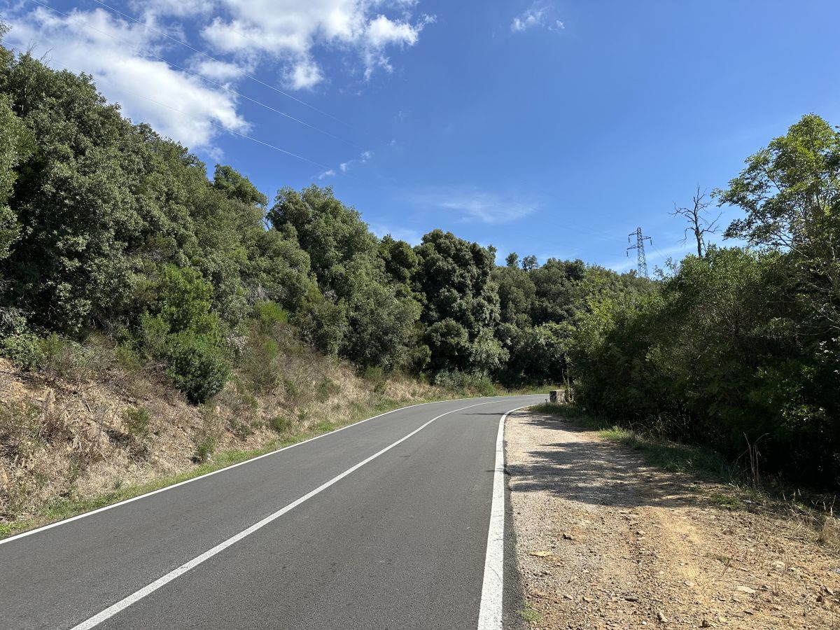 (SP16) Grosseto - Magliano in Toscana – Strada Panoramica percorso moto – Foto 4