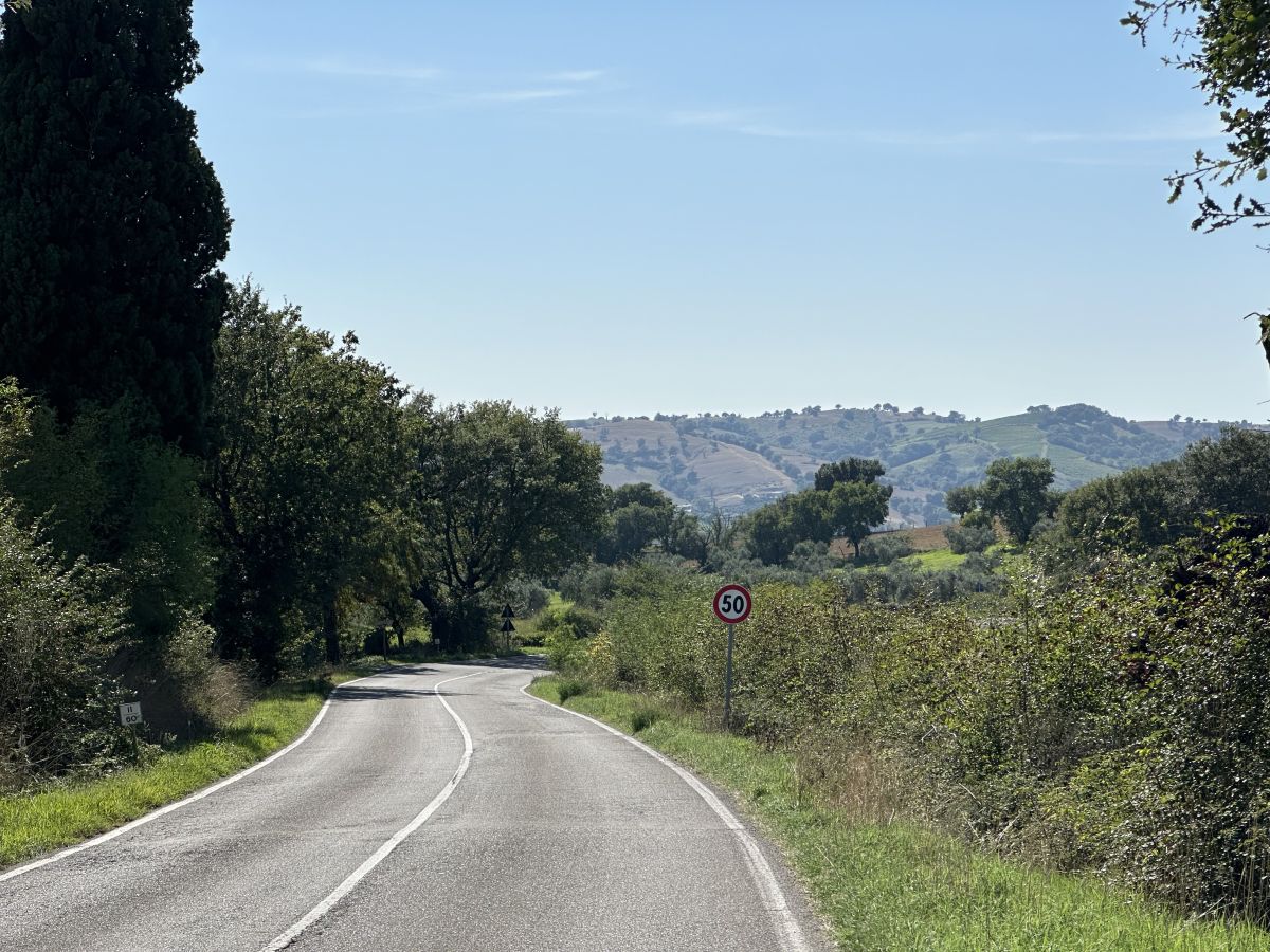(SP159) Grosseto - Scansano