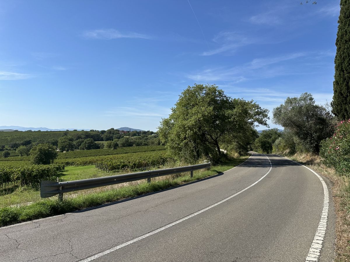 (SP159) Grosseto - Scansano – Strada Panoramica percorso moto – Foto 3