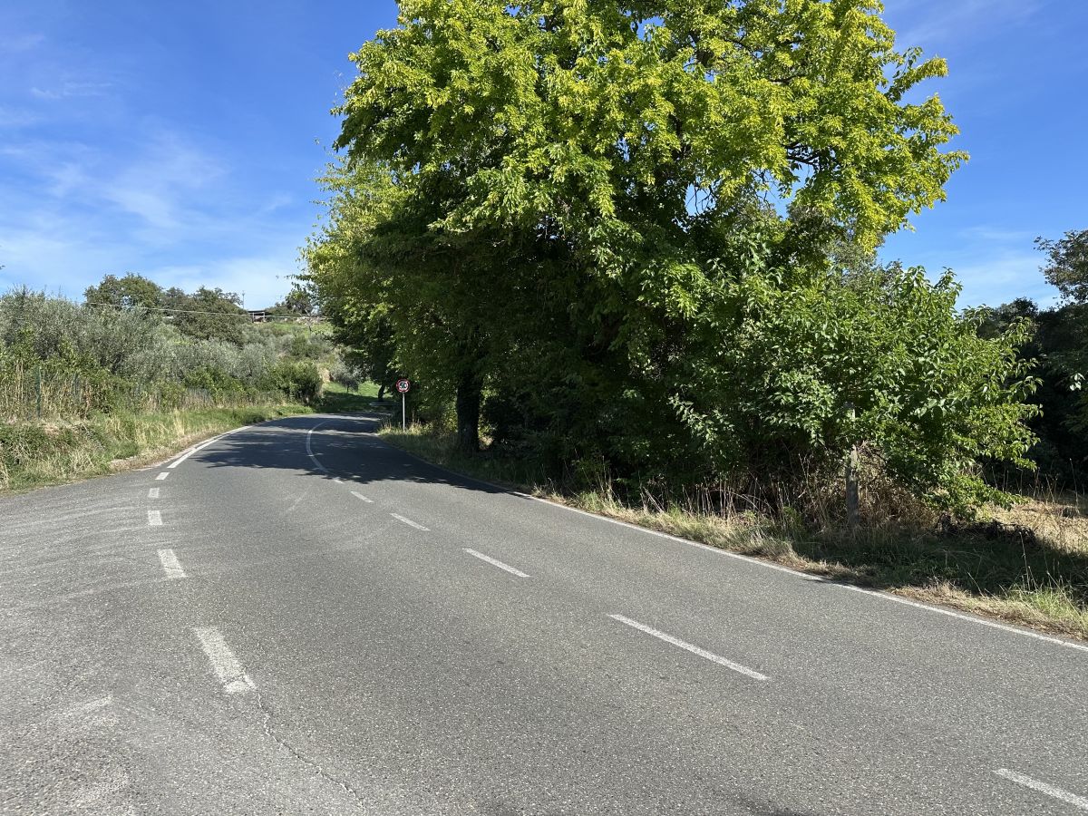(SP159) Grosseto - Scansano – Strada Panoramica percorso moto – Foto 5