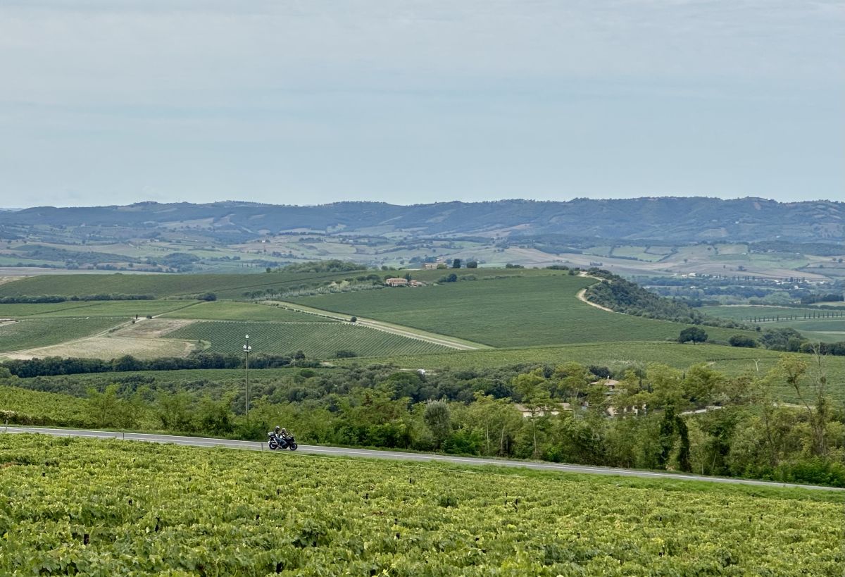 (SP14) Sant'Angelo - Montalcino – Strada Panoramica percorso moto – Foto 6