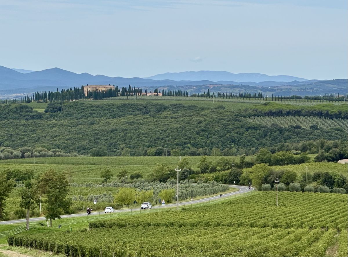 (SP14) Sant'Angelo - Montalcino – Strada Panoramica percorso moto – Foto 7