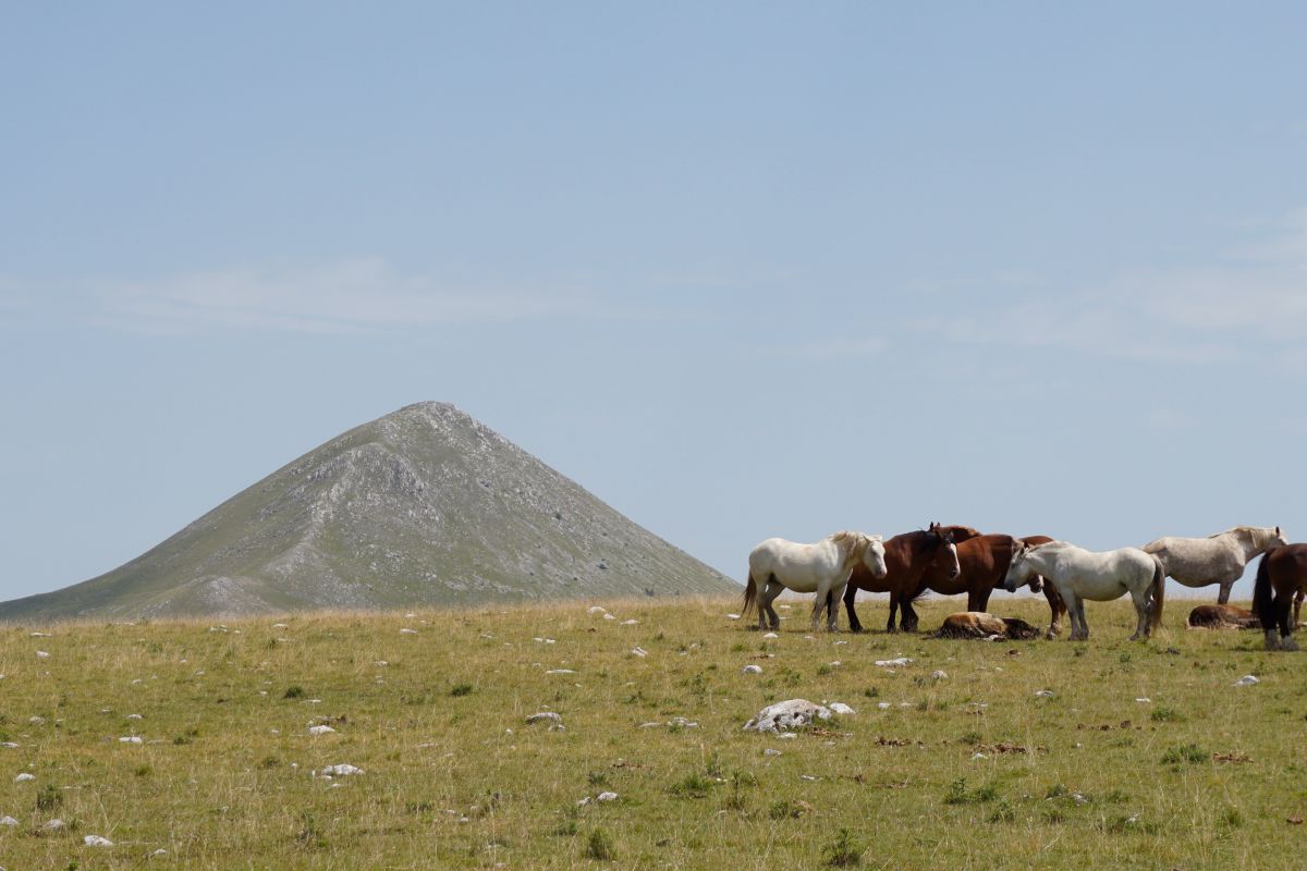 Castelluccio di Norcia e Campo Imperatore - Foto 7